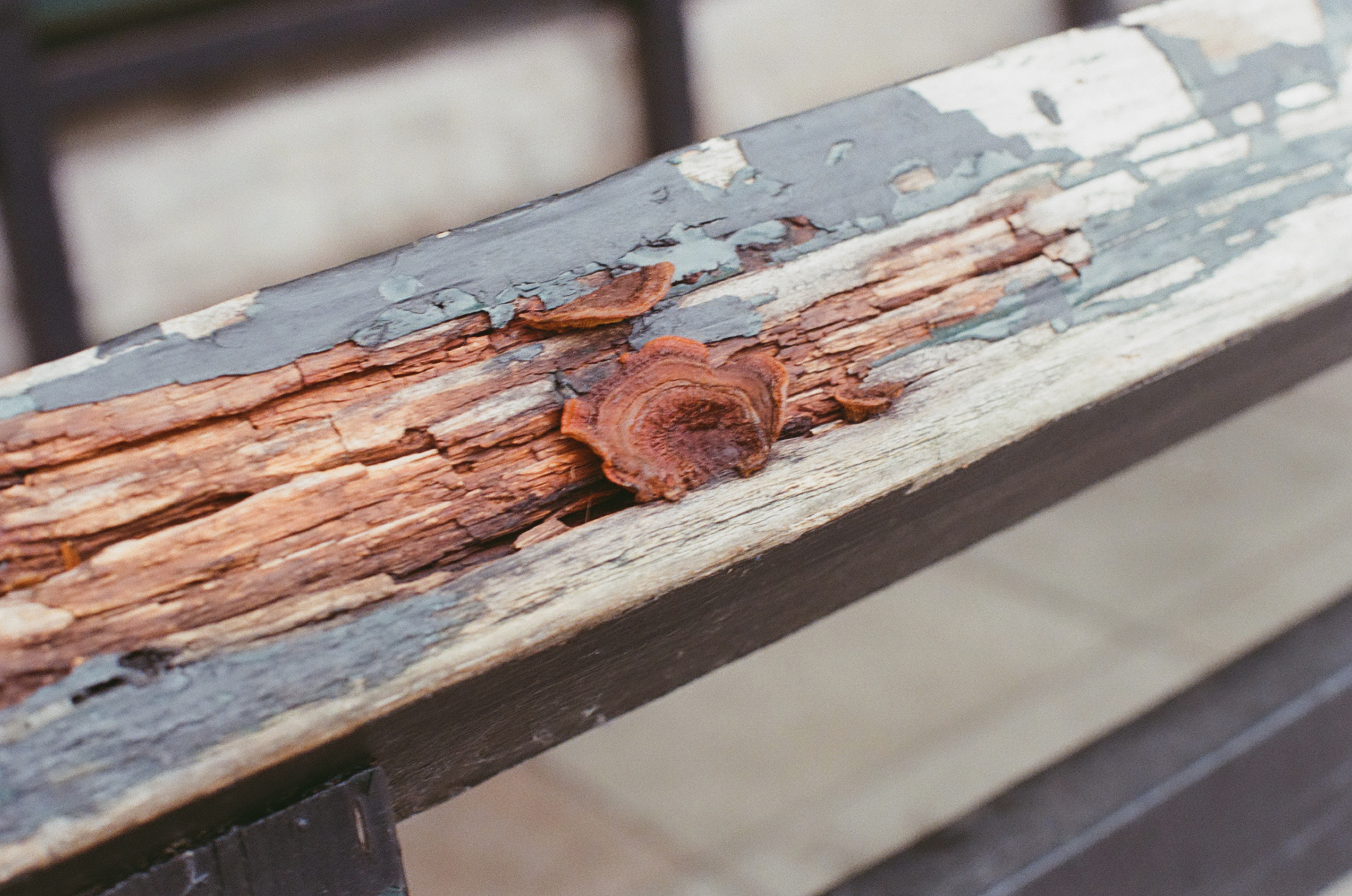 2026-02-24 / 0009_29