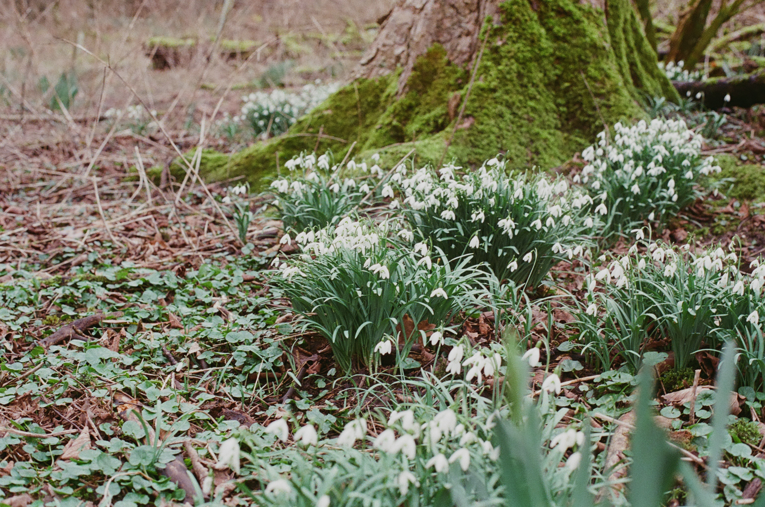 2026-02-24 / 0012_26