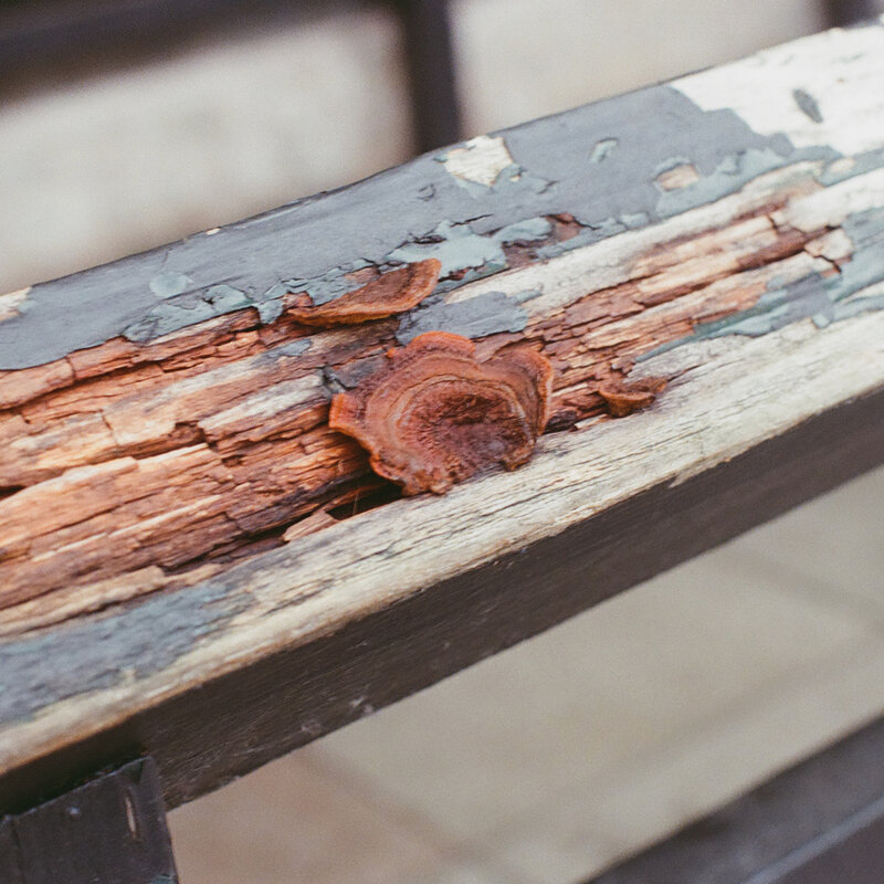 2026-02-24 / 0009_29