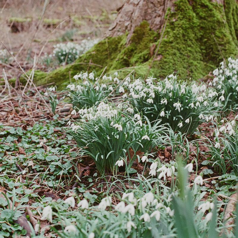 2026-02-24 / 0012_26