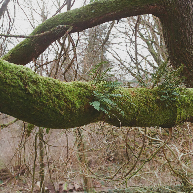 2026-02-24 / 0015_23